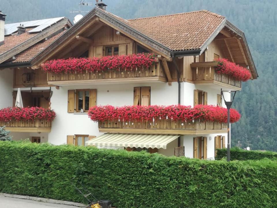 Appartamento Mansarda Patrizia E Franco Val Di Sole Commezzadura Kültér fotó